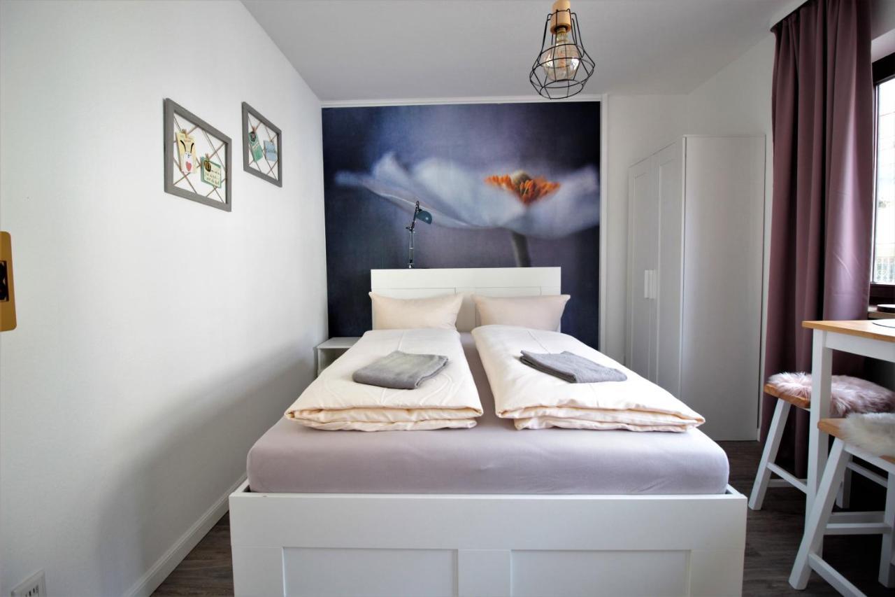 Cozy And Stylish Studioapartment Вюрцбург Екстериор снимка